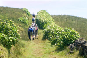 Percursos Pedestres, Ilha de São Jorge